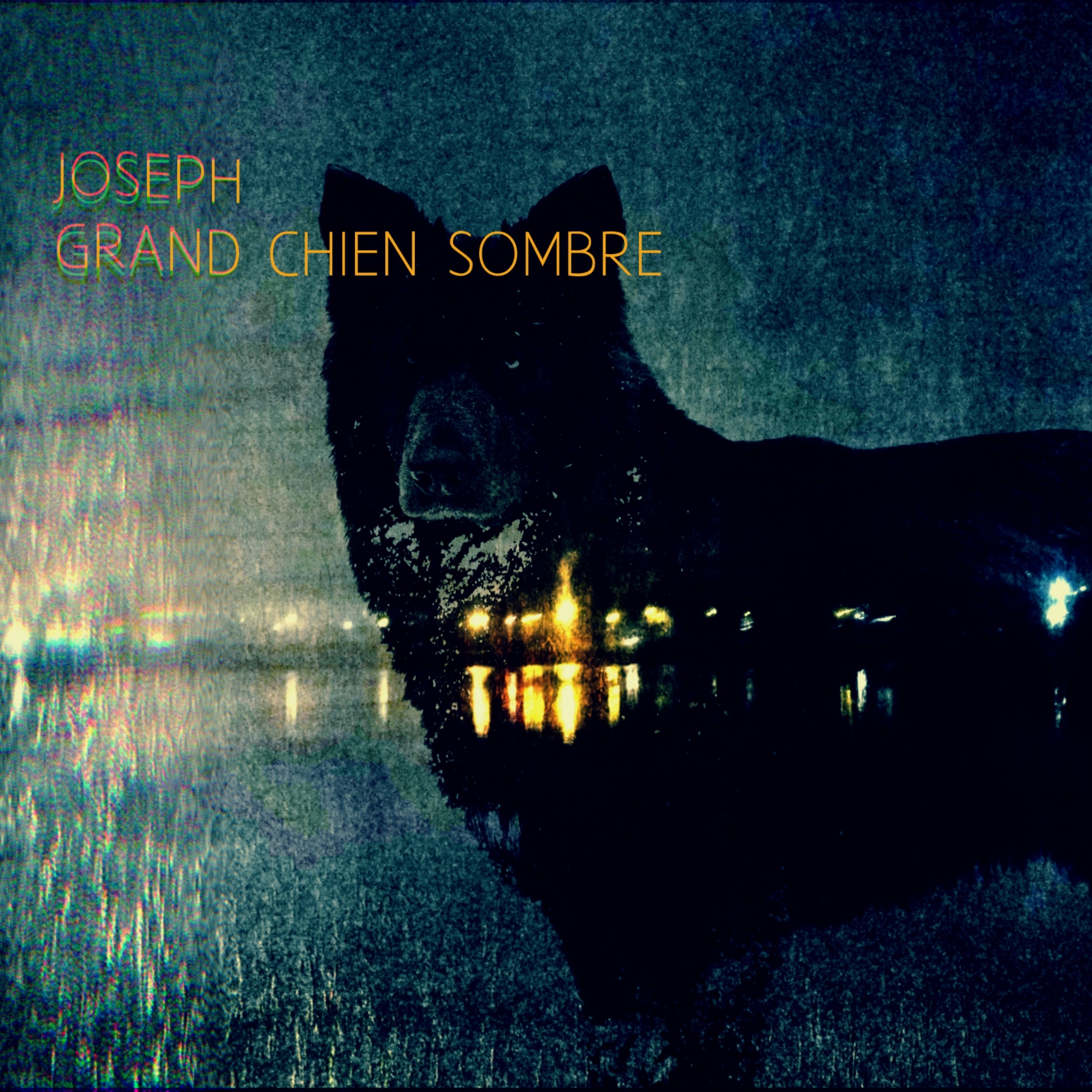Joseph – Grand Chien Sombre
